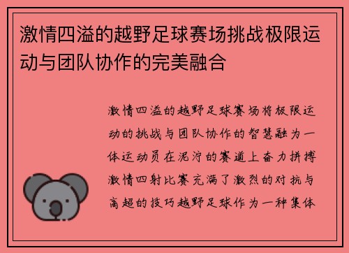 激情四溢的越野足球赛场挑战极限运动与团队协作的完美融合